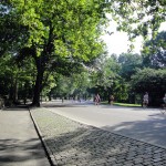 Motionister i Central Park